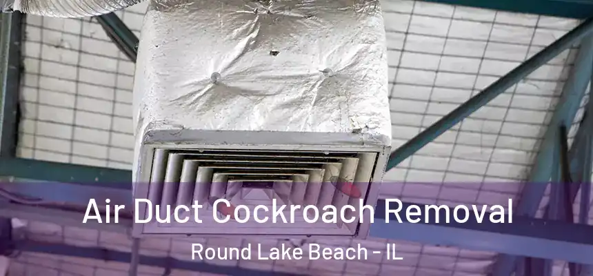  Air Duct Cockroach Removal Round Lake Beach - IL