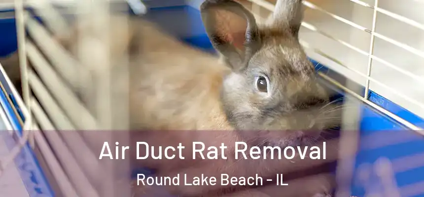 Air Duct Rat Removal Round Lake Beach - IL