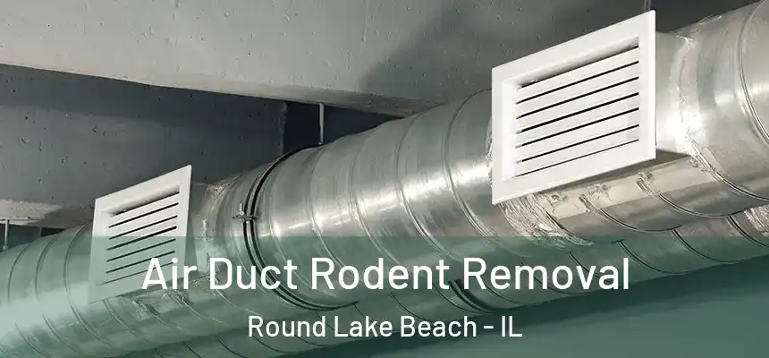 Air Duct Rodent Removal Round Lake Beach - IL