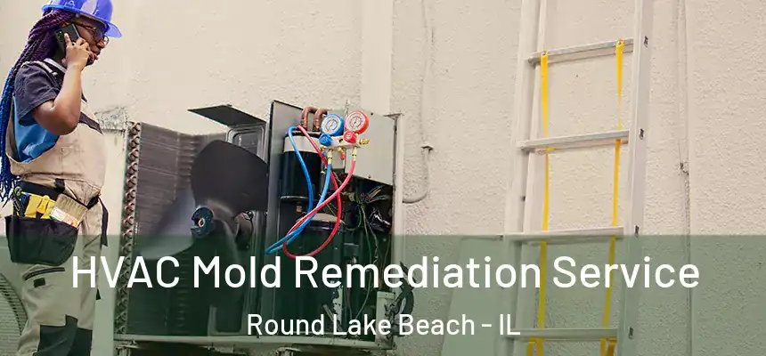 HVAC Mold Remediation Service Round Lake Beach - IL
