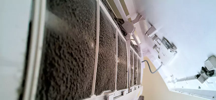 Preventive Air Duct Bacteria Removal in Round Lake Beach