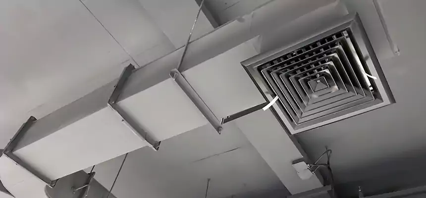 Restorative Allergy Relief Vent Cleaning – Coil, Blower & Housing Detail in Round Lake Beach