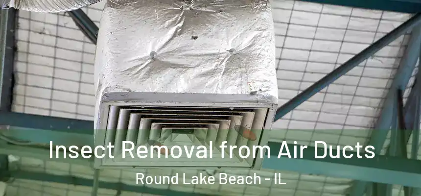Insect Removal from Air Ducts Round Lake Beach - IL