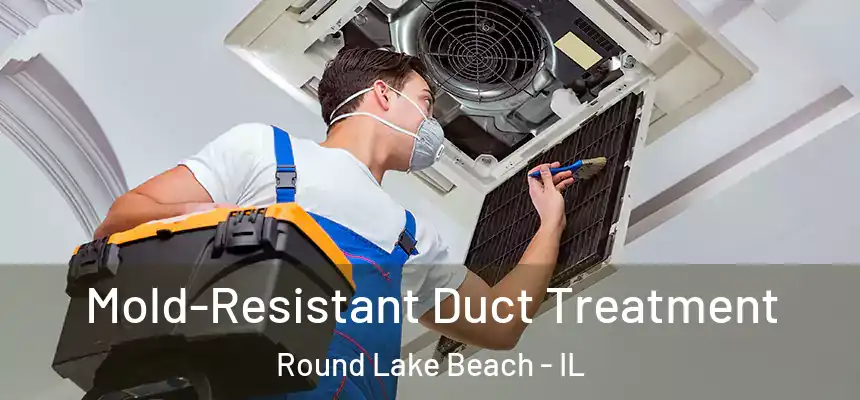  Mold-Resistant Duct Treatment Round Lake Beach - IL