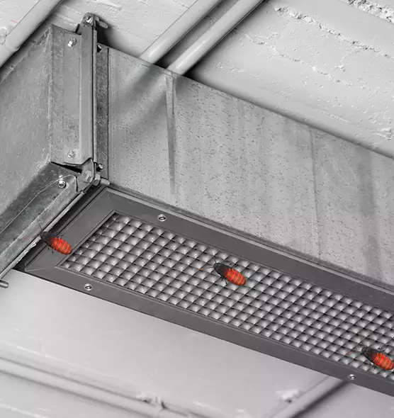 About Air Duct Cockroach Removal in Round Lake Beach, IL