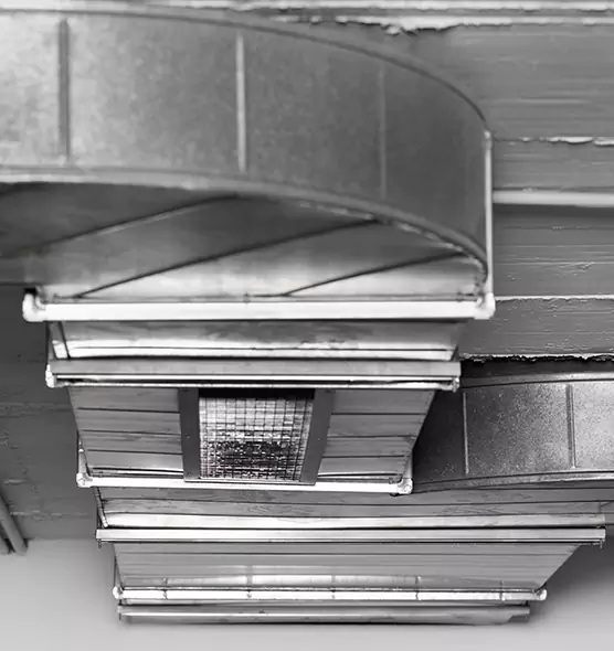 Professional Air Duct Pest Removal in Round Lake Beach, IL