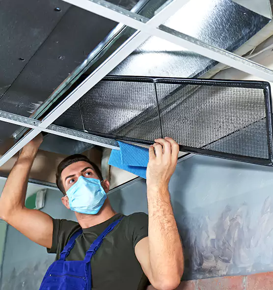 Professional Air Duct Pollen Cleaning in Round Lake Beach, IL