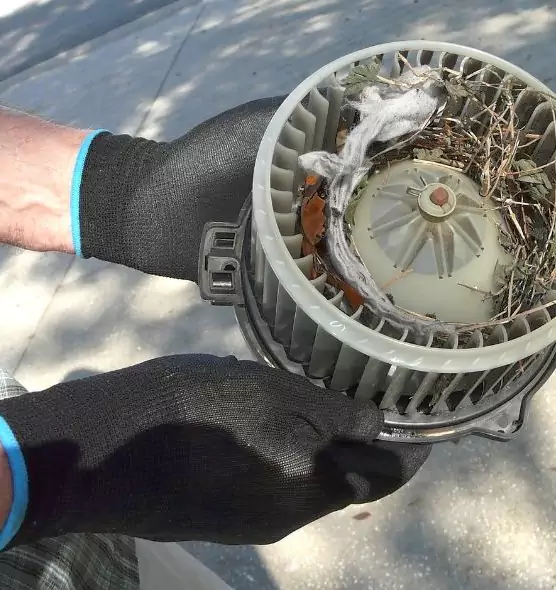 About Air Duct Rat Removal in Round Lake Beach, IL