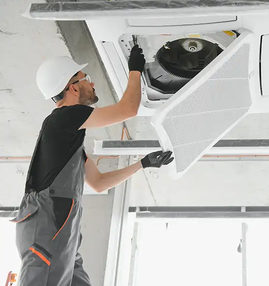 About Air Duct Rodent Removal in Round Lake Beach, IL