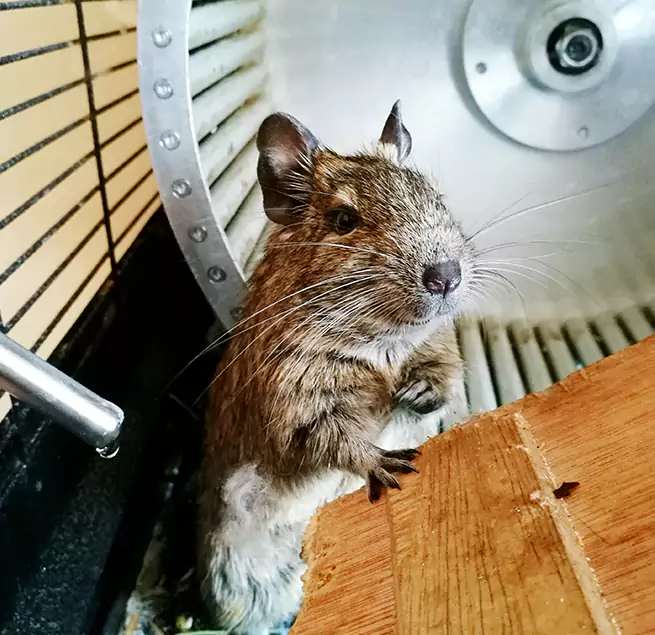 Why Homeowners & Businesses Trust Us Round Lake Beach, IL