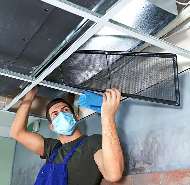 Why Homeowners Businesses Trust Us in Round Lake Beach, IL