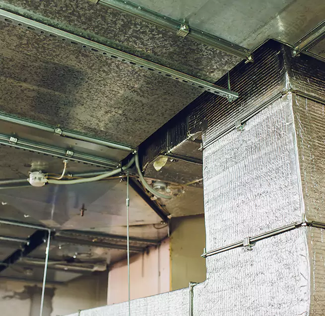 Why Homeowners & Businesses Trust Us in Round Lake Beach, IL?